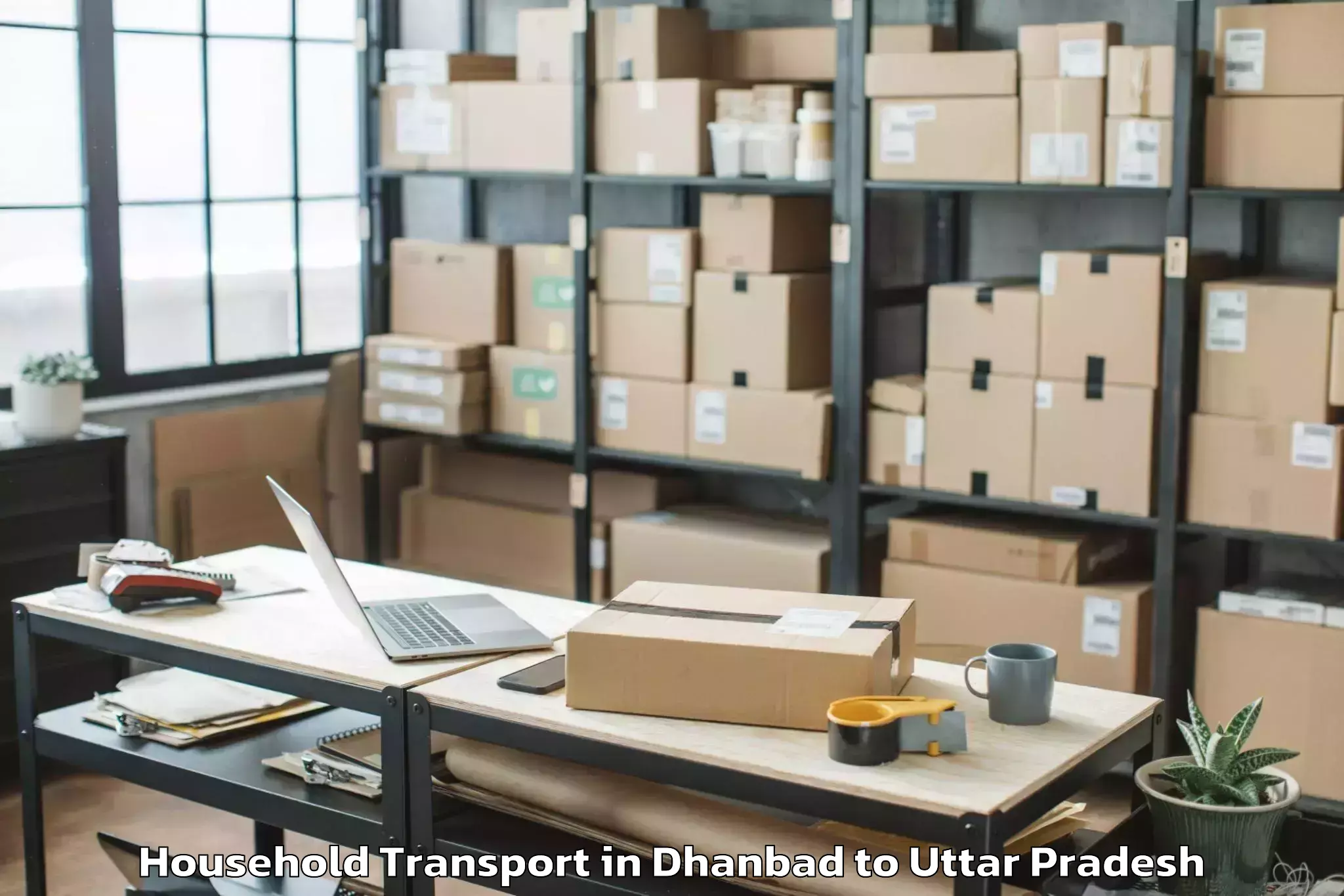 Top Dhanbad to Haldaur Household Transport Available